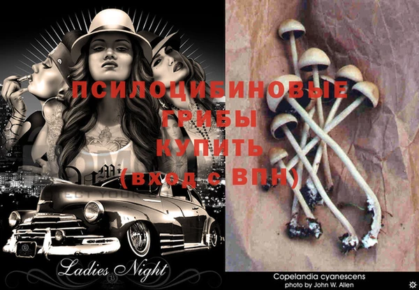 MDMA Premium VHQ Аркадак